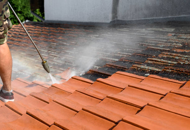 Best Roof Pressure Washing  in Lockwood, MT
