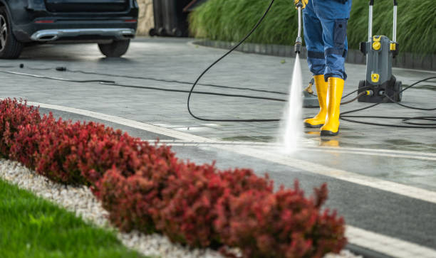 Best Pressure Washing Driveway  in Lockwood, MT